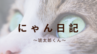 パン粉1カップって何グラム パン粉の代わりに使えるものってないのかな の疑問を解決 モフの投資ブログplus